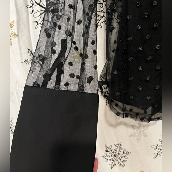 J. Crew Sheer Polka Dot Blouse - Picture 3 of 5